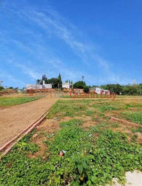 Property Search Vietnam | OneDay | , Sales Listings, OFFERING HUNG THINH - TRANG BOM LAND: GOLDEN INVESTMENT - IDEAL RESIDENCE!