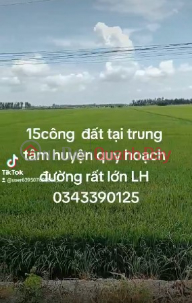 Property Search Vietnam | OneDay | Residential, Sales Listings | BEAUTIFUL LAND LOT for sale on Thien Lo Duong street near Moc Hoa District Center, Long An Province