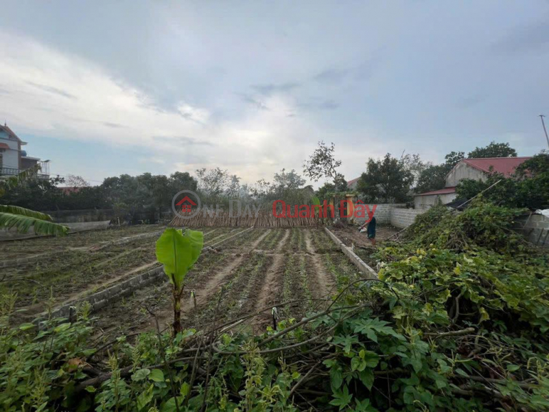 Property Search Vietnam | OneDay | Residential Sales Listings, OWNER'S LAND - FRONTAGE DT 386 Road, Nguyen Hoa Commune, Phu Cu - Hung Yen