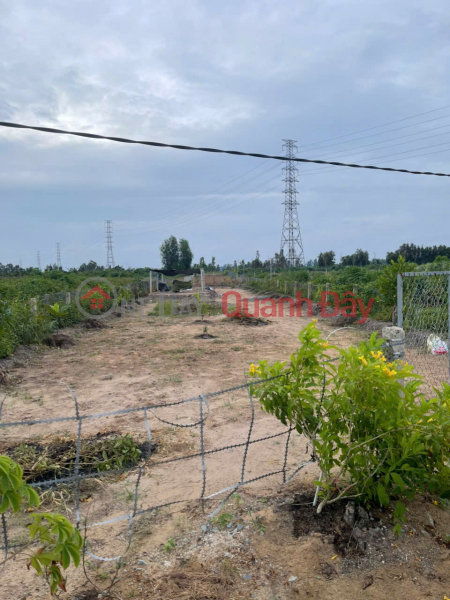 Bán 500m2 Đất Vườn Tại Đường ĐT816, Xã Bình Đức, Huyện Bến Lức, Long An | Việt Nam | Bán, đ 550 triệu