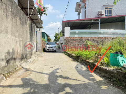 Bán Đất thôn Mai Đông, Mai Đình - Sóc Sơn - 83M2 - 2,55 Tỷ - Đường Thông Ô Tô đỗ _0