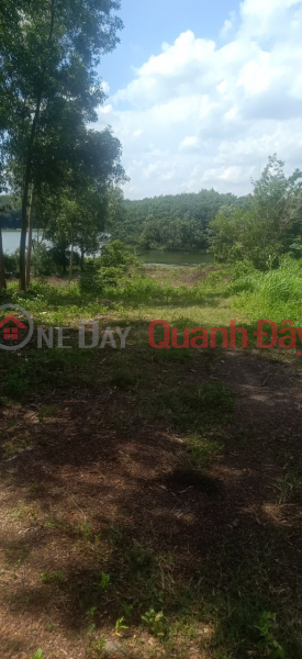 Property Search Vietnam | OneDay | Residential, Sales Listings GENERAL FOR SALE QUICKLY 2 Adjacent Land Lots Prime Location In Tan Phu, Dong Phu, Binh Phuoc