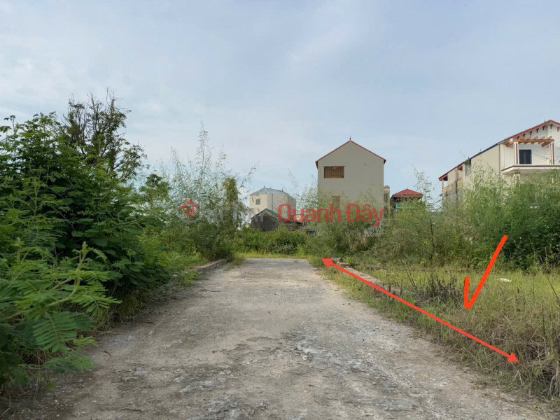 Bán Gấp Lô Đất Đẹp, Mặt Tiền Rộng Hơn 6m - Tiềm Năng X2 Tài Sản Tại Quang Minh Niêm yết bán