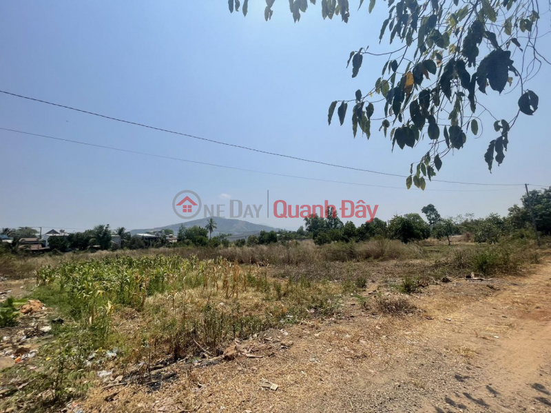 Owner Needs to Sell Land Plot, Beautiful Location, Phu Binh Commune, Tan Phu Town, Dong Nai, Vietnam | Sales, đ 460 Million