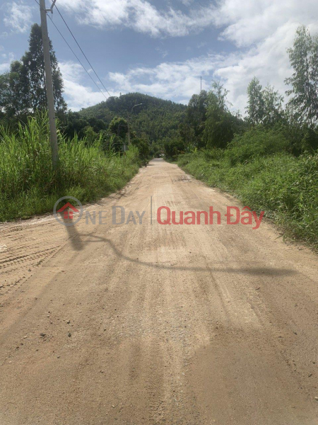 RSX LAND LOT FOR QUICK SALE AT Phu Hoa Town, Phu Hoa District, Phu Yen Province Vietnam Sales | ₫ 650 Million