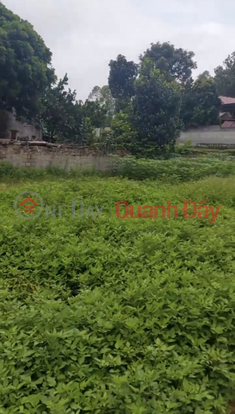 đ 1.19 Billion, PRIMARY LAND - GOOD PRICE - Nice Location On Main Street Ngoc Xa Commune, Que Vo District, Bac Ninh