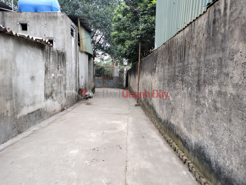 Property Search Vietnam | OneDay | Residential | Sales Listings, The owner needs money to invest in business, sell potential land lots for you to invest in subdivision and mold