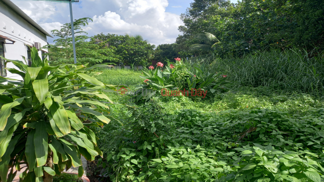 Land for sale in Ha Huy Giap, T.Loc Ward, District 12, 6 adjacent lots, Bypass road, price reduced to 10.35 billion, Vietnam, Sales đ 10.35 Billion