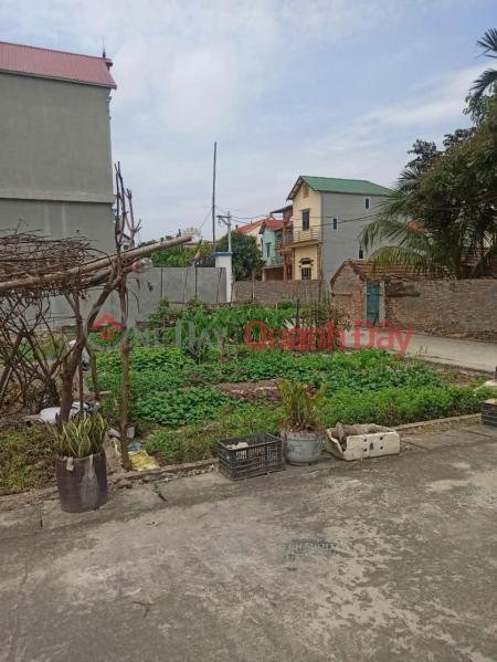 Bán đất Thuận Thành, Bắc Ninh. 85m2 * mt 6m * 2,2 tỷ. Lô Góc, Ô tô Tránh., Việt Nam | Bán, đ 2,2 tỷ