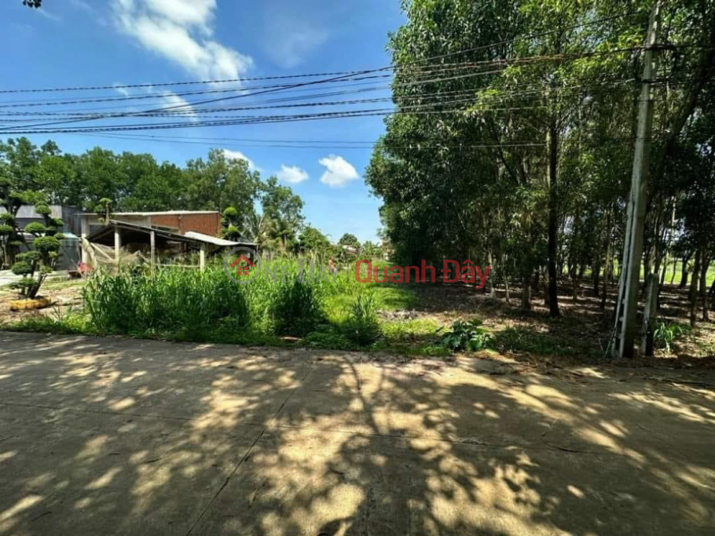Land Lot by Owner, Beautiful Location, Thanh Tay Hamlet, Thanh Long - Chau Thanh Commune, Tay Ninh, Vietnam, Sales, đ 650 Million