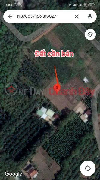 Property Search Vietnam | OneDay | Residential, Sales Listings | 2-FRONT LAND - PROFITABLE INVESTMENT - Owner Needs to Sell Land Lot in An Binh Commune, Phu Giao, Binh Duong