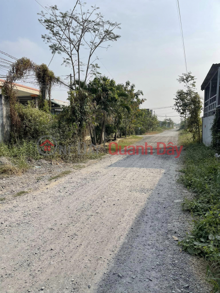 Property Search Vietnam | OneDay | Residential, Sales Listings Need money for business, Landlord urgently selling land, Provincial Road 9, My Hanh Bac, Long An