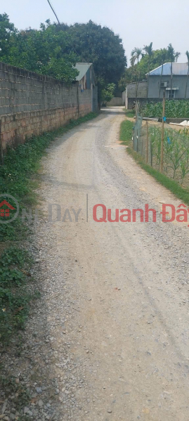Property Search Vietnam | OneDay | Nhà ở, Niêm yết bán, CHÍNH CHỦ BÁN LÔ ĐẤT ĐẸP 108,4M TẠI TÂN TIẾN-CHƯƠNG MỸ HÀ NỘI