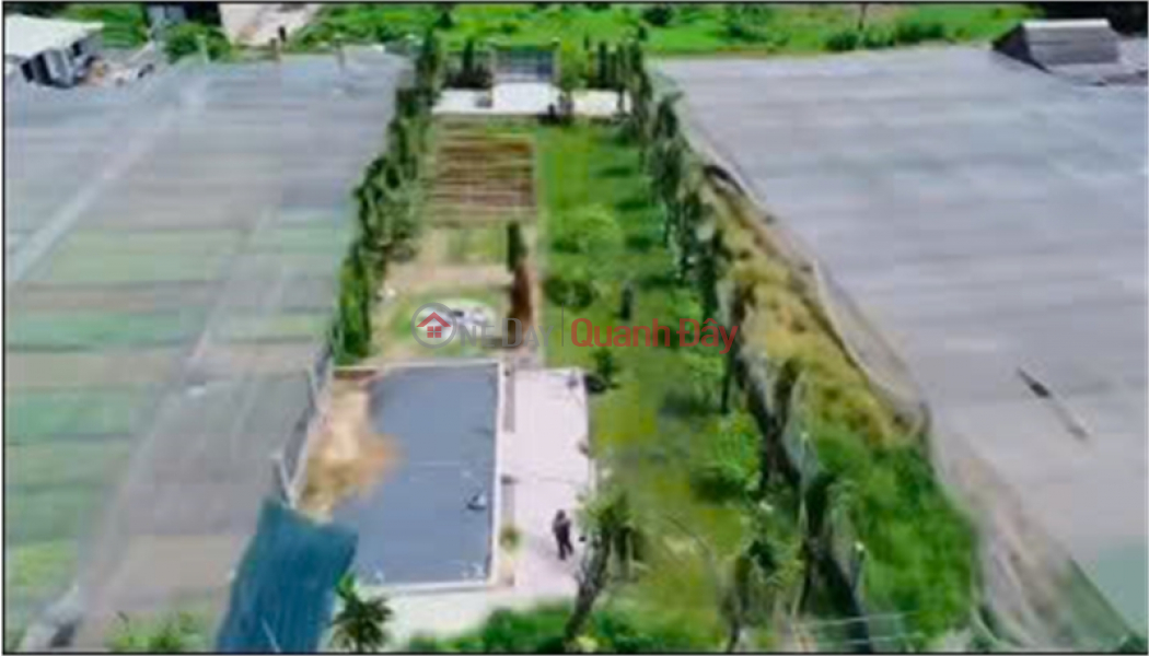 Garden for sale 1,110m2, frontage of Tan Hiep 1-7, Hoc Mon, only 6.5 million\\/m2 Sales Listings