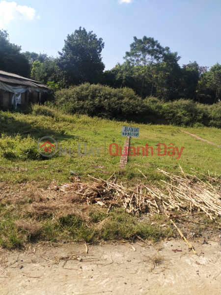 Property Search Vietnam | OneDay | Residential | Sales Listings, OWNER LAND - SELLING TO CUT LOSSES 2 ADJUSTABLE LOTS In Huong Dao commune, Tam Duong district, Vinh Phuc