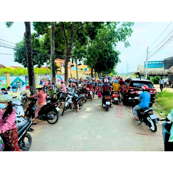 Làm ơn chọn | , Niêm yết bán, đ 244 triệu