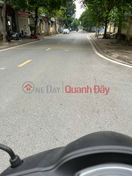 Property Search Vietnam | OneDay | Residential | Sales Listings | Need to sell 164m2 of LAND, 8.5m frontage on Bo De Street, price 24.5 billion, car for business