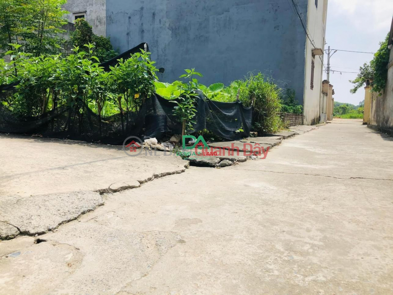 Property Search Vietnam | OneDay | Residential | Sales Listings Land for sale 43.3m2 Dai Bi Uy No Dong Anh near Kim Quy park