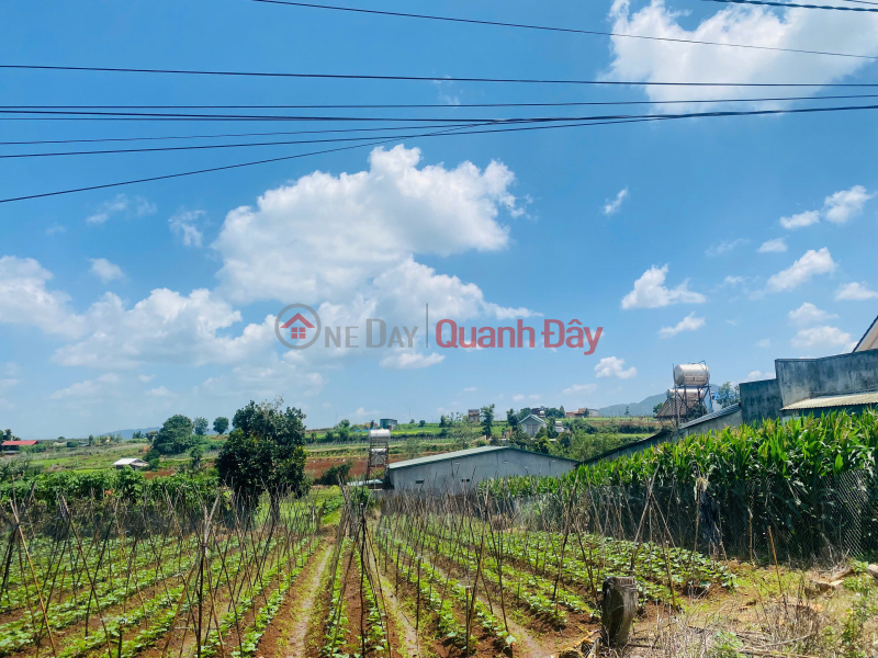 Property Search Vietnam | OneDay | Residential Sales Listings | LAND FOR SALE, 216m2, LIEN HIEP - DUC TRONG - LAM DONG, PRICE 2 BILLION VND