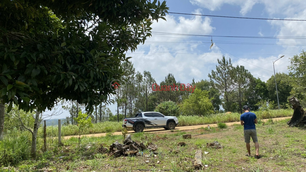 Land plot for sale in area 37-Mang Den for households at cheap price Sales Listings