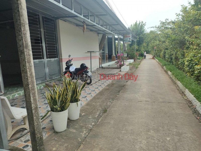 GOOD LOCATION - GOOD PRICE - Owner Needs to Quickly Sell House in Binh Thanh Commune, Lap Vo, Dong Thap Vietnam, Sales | đ 500 Million