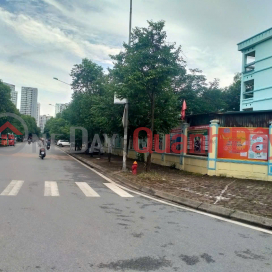 LAND FOR SALE IN SOUTHWEST LINH DAM - HOANG MAI, 60 SQUARE METERS, LEVEL 4, FRONTAGE 5 METERS, PRICE 17.5 BILLION. _0