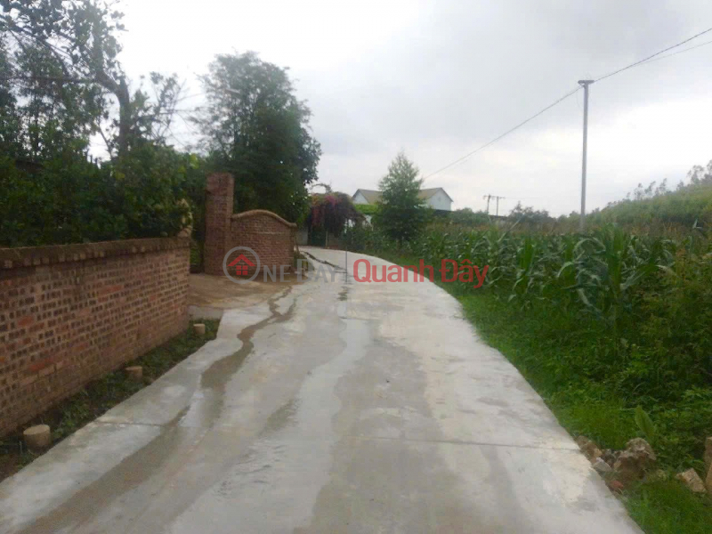 đ 590 Million | Will win when investing in profitable real estate after the merger of two provinces Bac Ninh Bac Giang