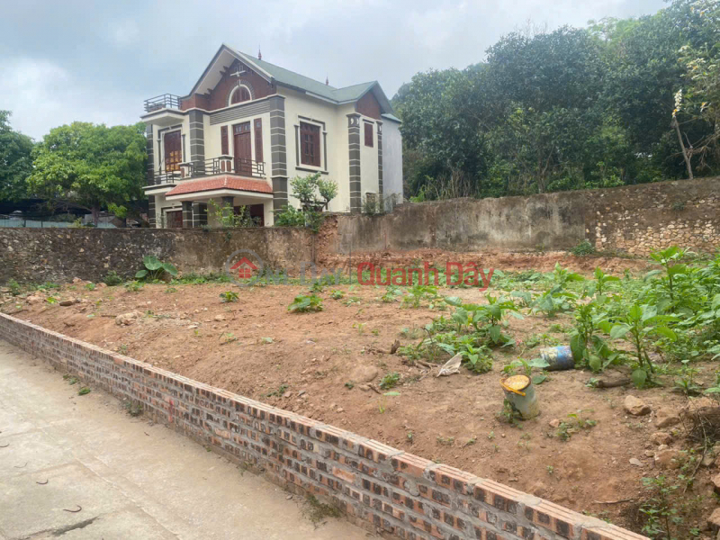 Land for sale in Nam Son near Gotek Industrial Park, price 2 billion VND., Vietnam Sales, đ 1.99 Billion