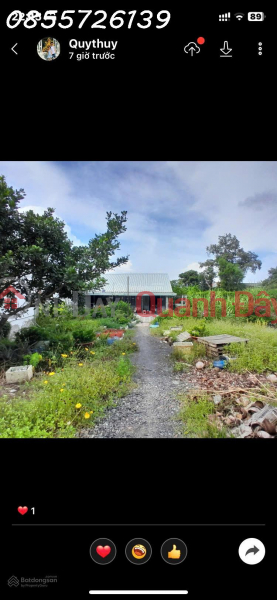 Bán đất tặng nhà mặt tiền 835B, Phước Lý, Cần Giuộc, Long An, giá siêu hời 14,9 tỷ, 496m2 Việt Nam, Bán | đ 14,9 tỷ