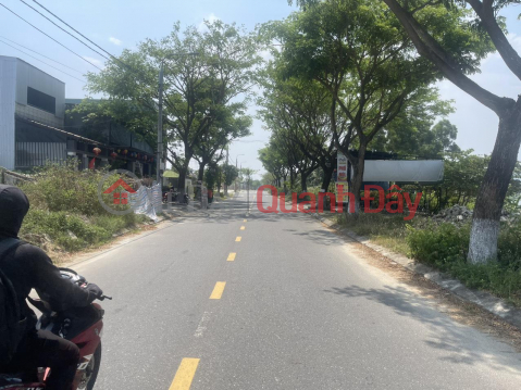 Beautiful Land - Good Price - Owner Needs to Sell Land Lot in Hoa Hiep Nam Ward, Lien Chieu District, Da Nang _0