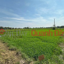 CƠ HỘI ĐẦU TƯ GIÁ TỐT - Chính Chủ Bán Gấp Lô Đất Trồng Lúa Xã Bình Thành, Đức Huệ, Long An _0