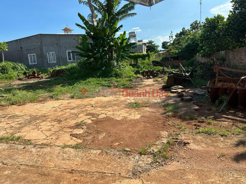PRIME LAND - GOOD PRICE - For Quick Sale In Son Binh, Chau Duc, BRVT Sales Listings