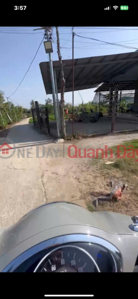 HOT HOT - CHÍNH CHỦ CẦN BÁN LÔ ĐẤT TẠI Xã Phước Lâm, Huyện Cần Giuộc, Tỉnh Long An. Việt Nam | Bán, đ 800 triệu