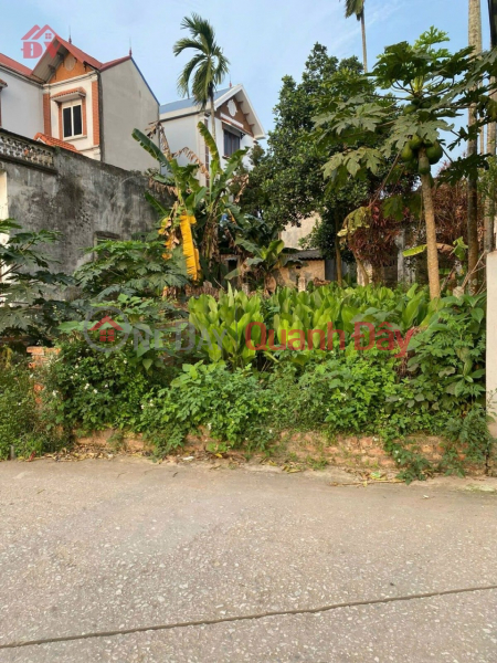 CHÍNH CHỦ CẦN BÁN LÔ ĐẤT 47M TẠI TẠI THỤY HƯƠNG-CHƯƠNG MỸ-HÀ NỘI Niêm yết bán