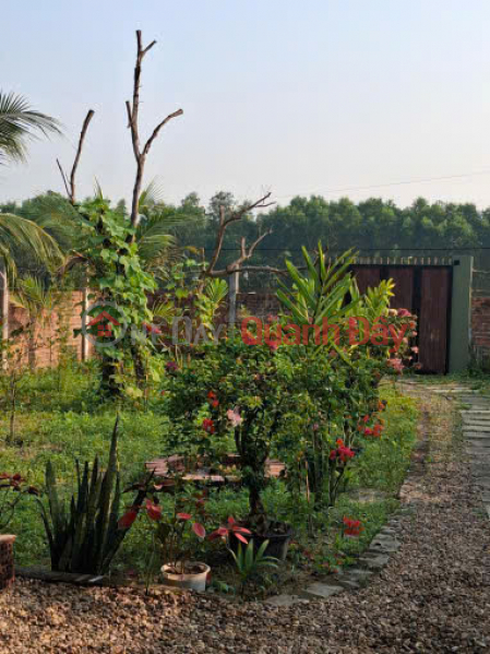 HOT HOT – OWNER NEEDS TO SELL A GARDEN HOUSE IN An Thanh Hamlet, Duy Trung Commune, Duy Xuyen District, Quang Nam Province | Vietnam, Sales | đ 1.69 Billion