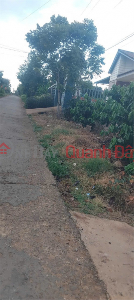 BEAUTIFUL LAND - GOOD PRICE - OWNER NEEDS TO SELL 3 LOTS OF LAND At Dinh Van - Lam Ha - Lam Dong | Vietnam, Sales | đ 6 Billion