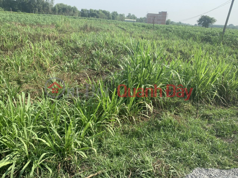 GENERAL FOR SALE QUICKLY Land Lot Great Location In Duong Minh Chau District, Tay Ninh _0