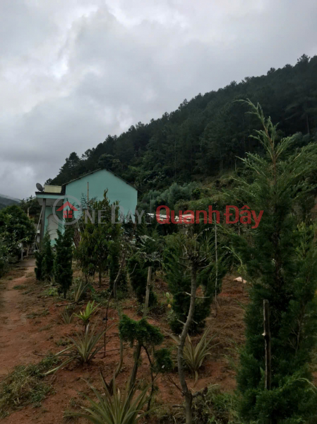 Property Search Vietnam | OneDay | Nhà ở, Niêm yết bán, Chính chủ cần bán 1000m2 nn Tà Nung Đà Lạt - 1.3 tỷ