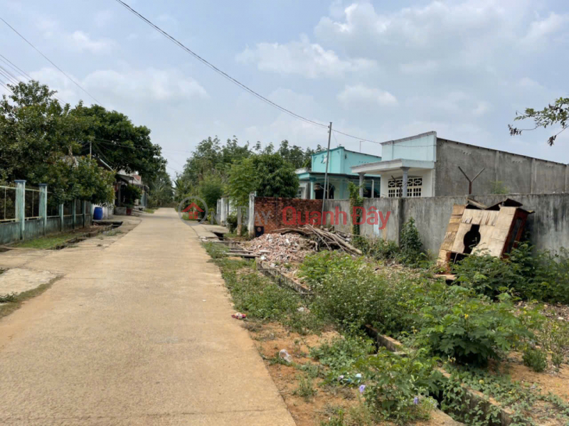 CHÍNH CHỦ bán đất Bàu Cạn, Long Thành, Đồng Nai- 4.381m2, có 300m thổ cư, còn lại là CLN Việt Nam, Bán | đ 17 tỷ