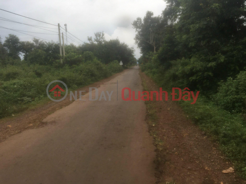 OWNER For Urgent Sale Land Lot 2 Fronts Ea D'Rong, Cu M'gar – Extremely Cheap Price _0