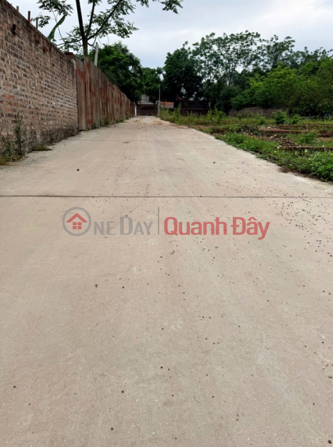 Dung Land is selling beautiful land plots in Thang Huu, Kim Anh, Hanoi - Many options starting from just over 2 billion VND. _0