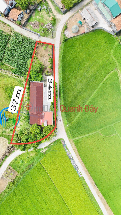 ĐẤT VƯỜN GÓC HIẾM TỊNH KHÊ – 550M² – THỔ CƯ SẴN – GIÁ TỐT CHỈ 1.8 TỶ _0