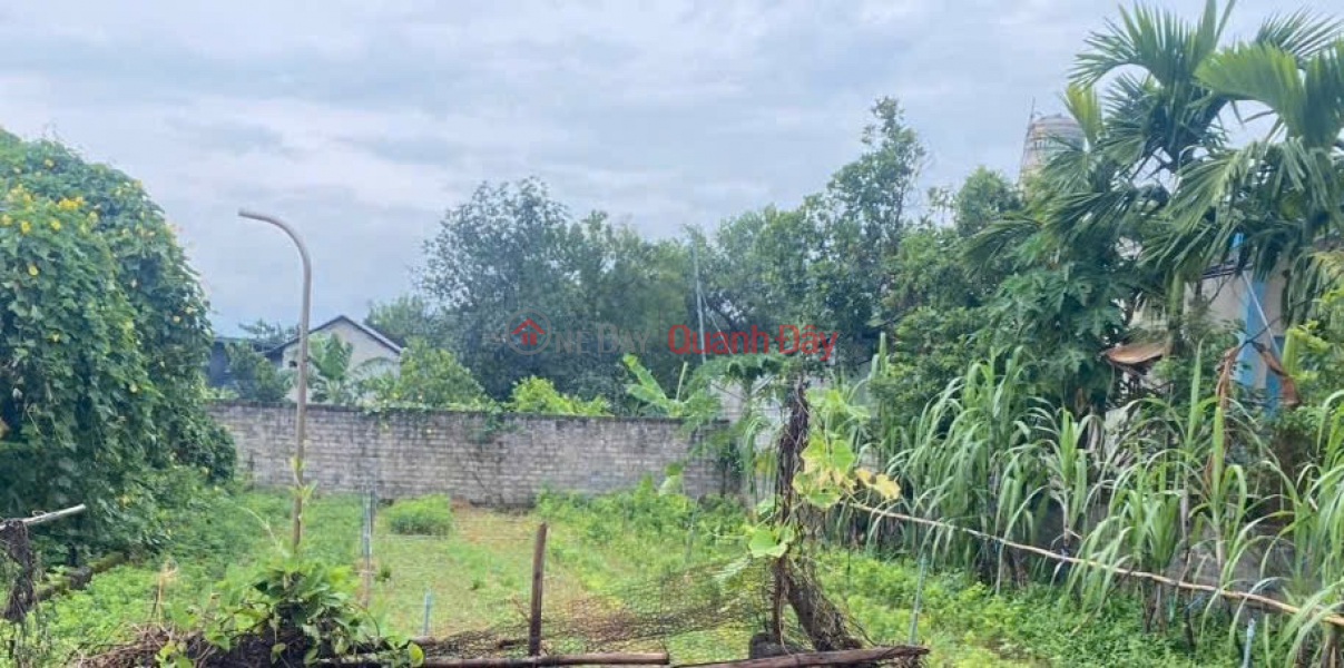 OWNER SELLS SUPER BEAUTIFUL LAND LOT OF 173M2 IN NAM PHUONG TIEN-CHUONG MY-HANOI Sales Listings