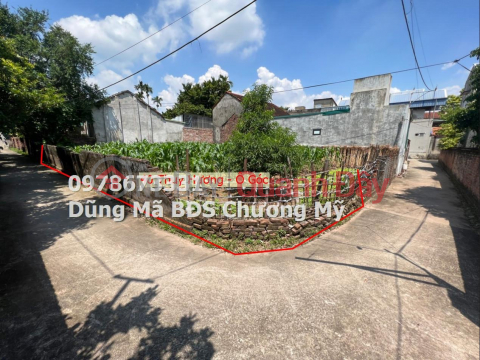 PRICE ONLY 1TY3 TO OWN 40M LAND LOT IN THUY HUONG-CHUONG MY _0