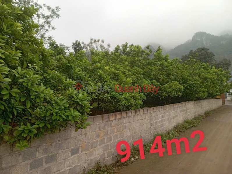 SUPER HOT!!! QUICK SALE OF 3 BEAUTIFUL LAND LOTS IN MY HOA COMMUNE, KIM BOI, HOA BINH. INVESTMENT PRICE Vietnam | Sales | đ 1.8 Billion