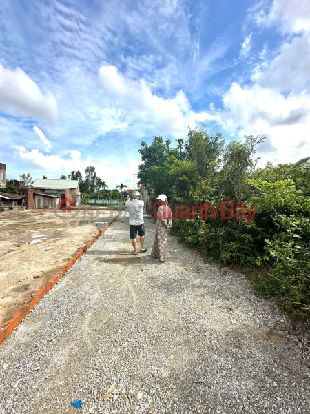 Property Search Vietnam | OneDay | , Sales Listings | Need to sell land in Dai Hiep commune, buy big projects in advance