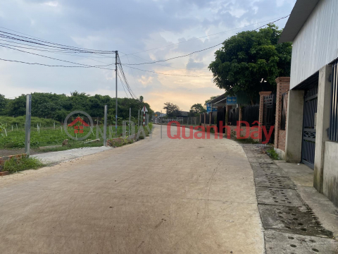 OWNER SELLING 9300M2 LAND WITH TITLE DEED, FRONTAGE ON ROAD 25 - THONG NHAT COMMUNE _0