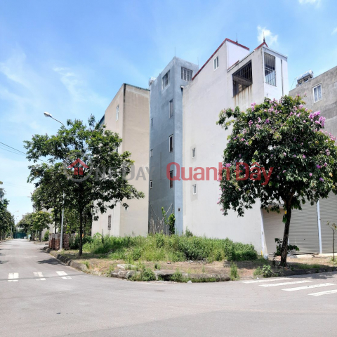 Bán đất đấu giá Thuận An Gia Lâm 80m2 lô góc trục chính giá nhỉnh 8 tỷ 0989894845 _0