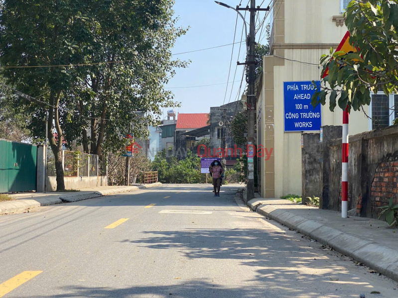 Property Search Vietnam | OneDay | Residential, Sales Listings, Need to sell 107m main road inter-commune Tang Bao village, Tan Quang, good business