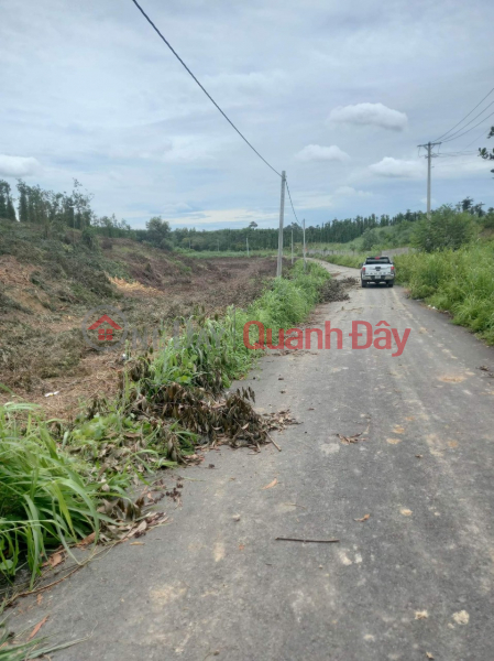 Owner Needs To Sell Land Plot In Suoi Rao Commune, Chau Duc District, Ba Ria Vung Tau Province,, Vietnam Sales, đ 12.5 Billion